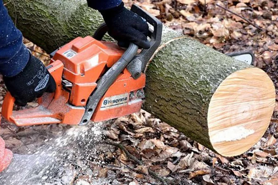 How to Determine Power Saw Price in Kenya