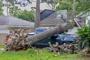 Why Fast Storm Damage Restoration Matters After Severe Weather Events