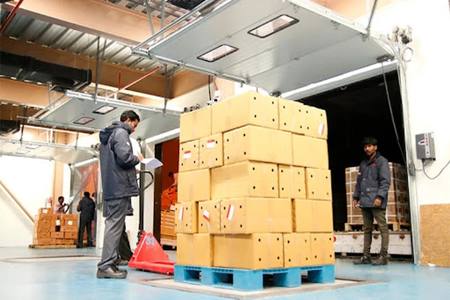 What Happens Behind the Scenes of Air Cargo Handling