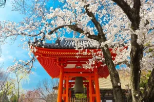 Why Japan Should Be on Every Traveler’s Bucket List