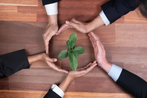 Why Sustainability Has Become a Core Responsibility in Modern Corporate Leadership