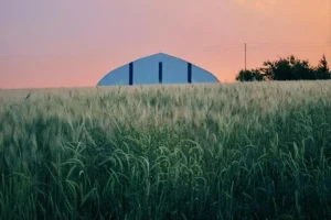 Market Insights: Why Pre-Engineered Metal Buildings Are on the Rise