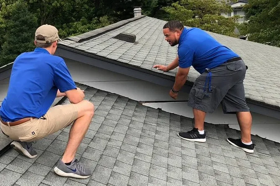Professional Roof Inspection