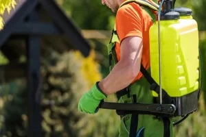 Backpack Sprayers: A Must-Have Tool for Efficient Garden Care