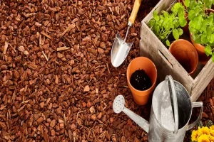Land Mulching And Its Benefits To Soil Health