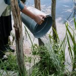 How to Tell If Your Water Heater Is Failing: Key Signs to Watch For