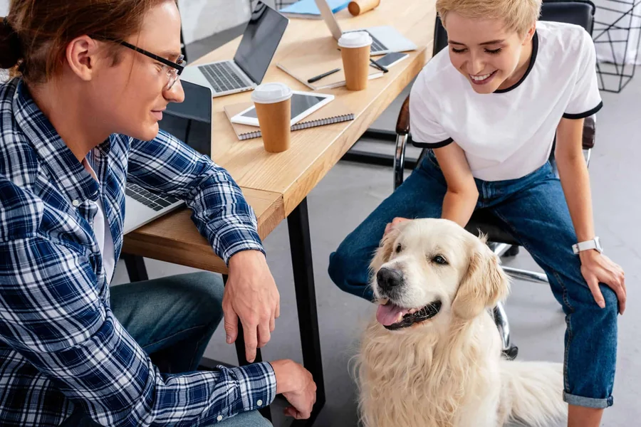 Are Emotional Support Animals Protected?