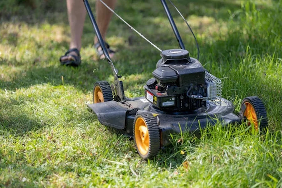 Lawn 