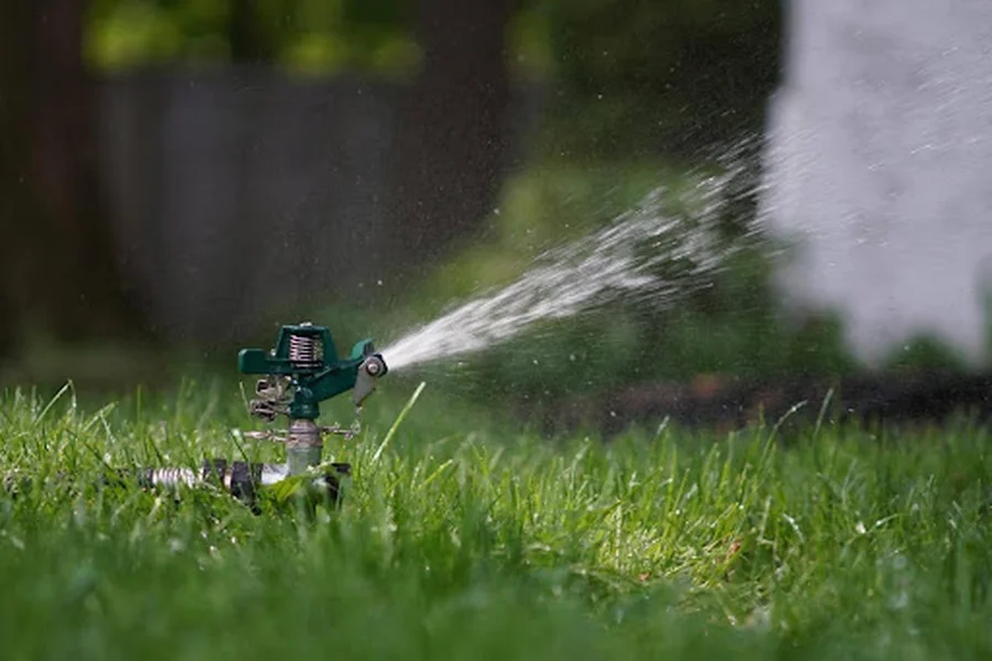 Lawn 