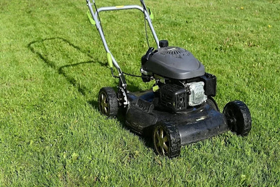 Lawn 