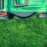 Your Neighbor’s Lawn Isn’t Lucky—Here’s What They’re Doing Differently